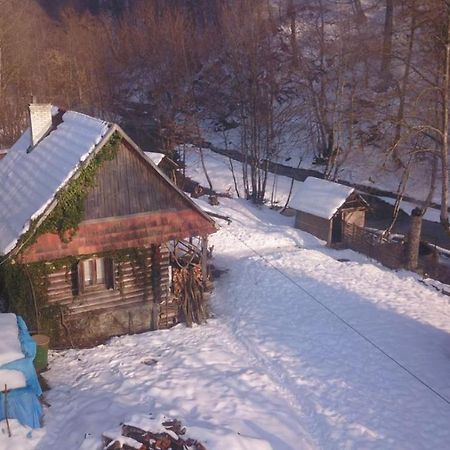 فيلا Хатина Біля Потока لومشوري المظهر الخارجي الصورة