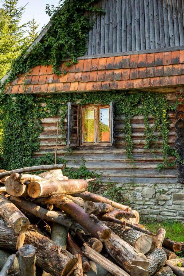 فيلا Хатина Біля Потока لومشوري المظهر الخارجي الصورة