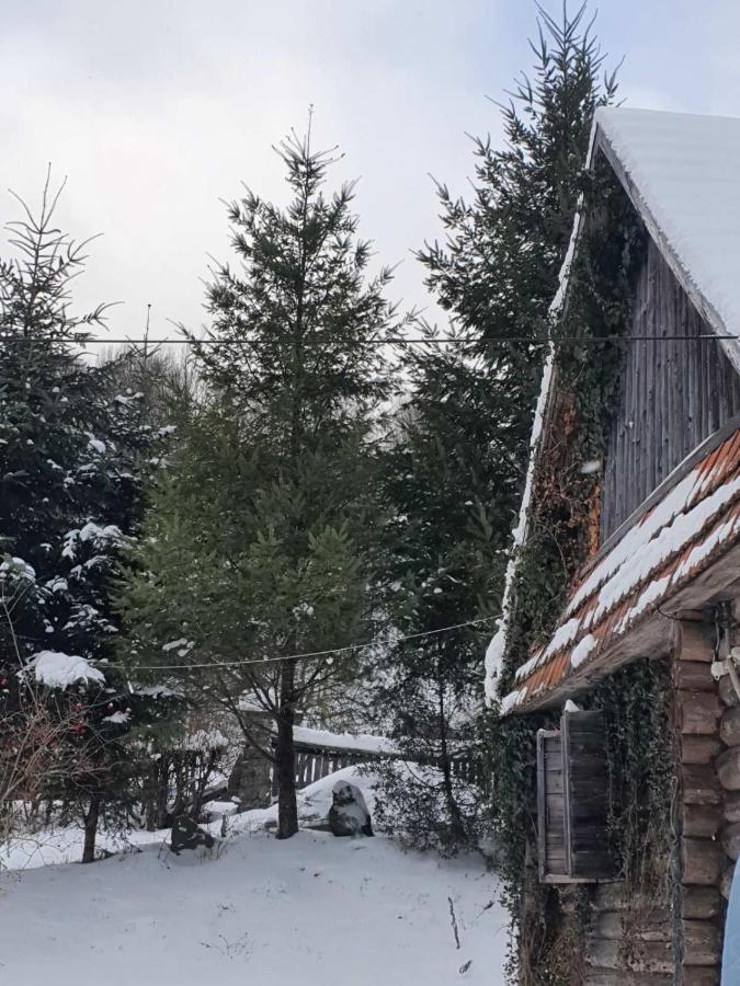 فيلا Хатина Біля Потока لومشوري المظهر الخارجي الصورة