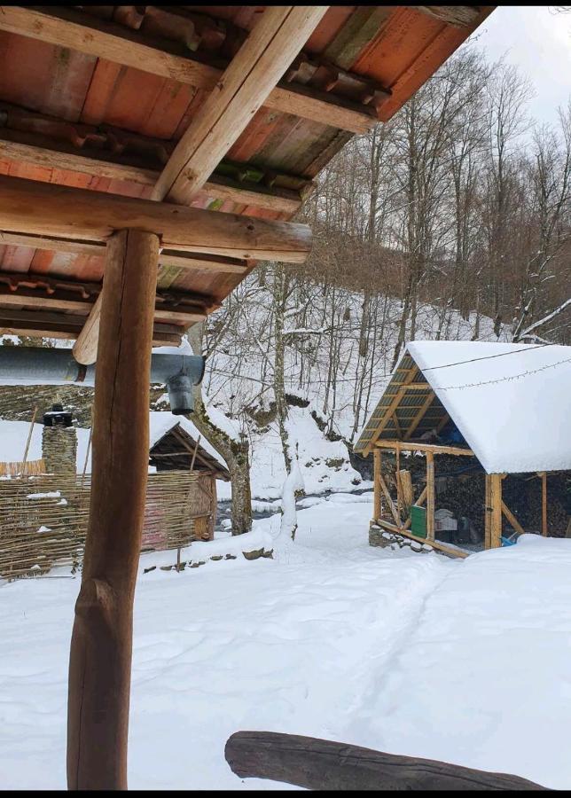 فيلا Хатина Біля Потока لومشوري المظهر الخارجي الصورة